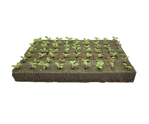 Hydroponic Growing Blocks