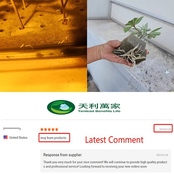 vertical farm vertical farm