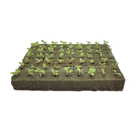 grow cube grow cube