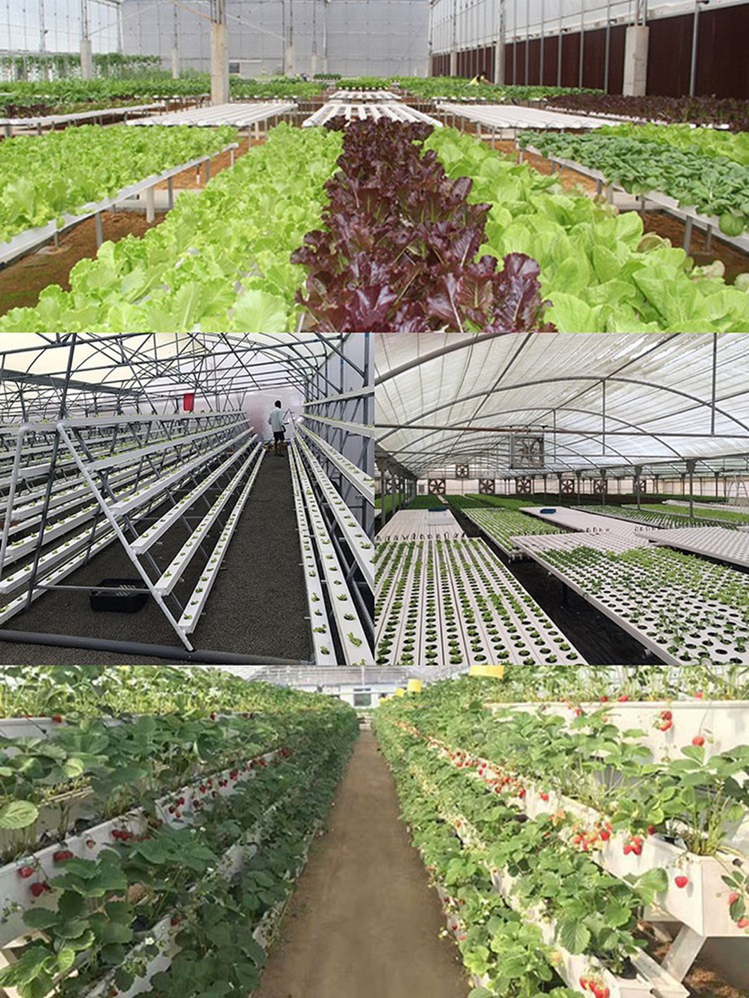 application application