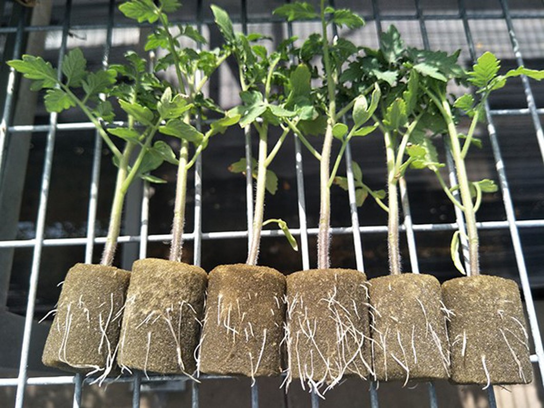 hydro planting medium hydro planting medium