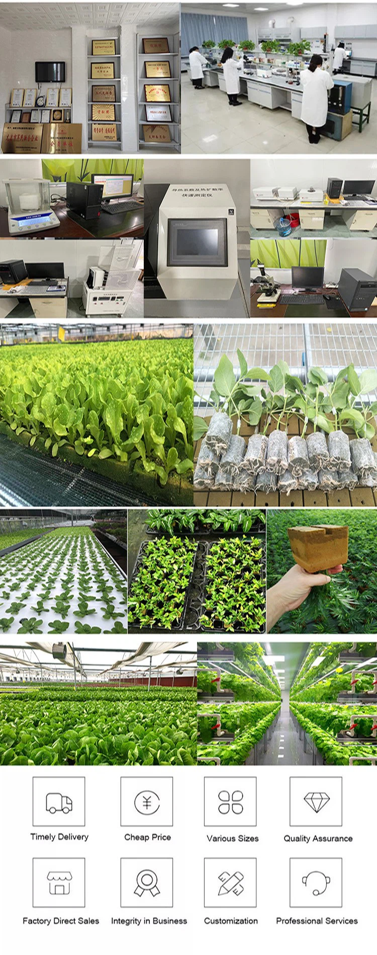 Planting Cubes Planting Cubes