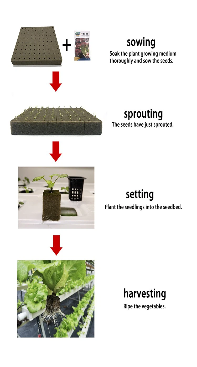 planting process planting process