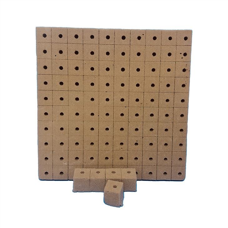 Planting Seeds in Hydroponic Cubes