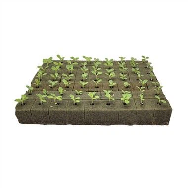 China Supplier High Quality Hydroponic Cubes