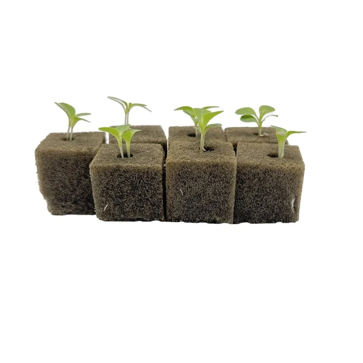 Aerogarden Bulk Grow Sponges