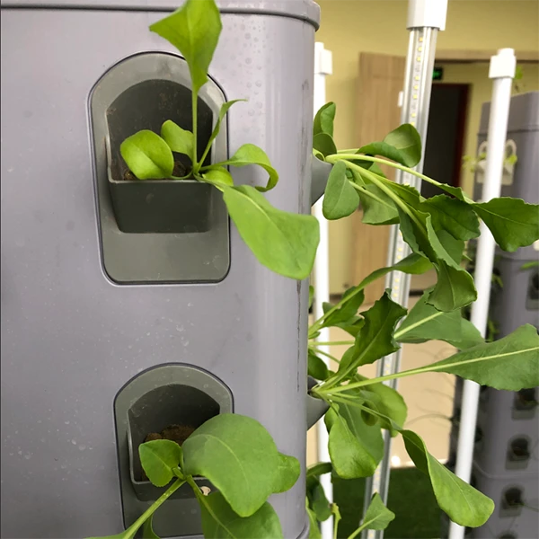 Grow Foam For Farmer