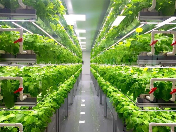 Inert Plant Substrates