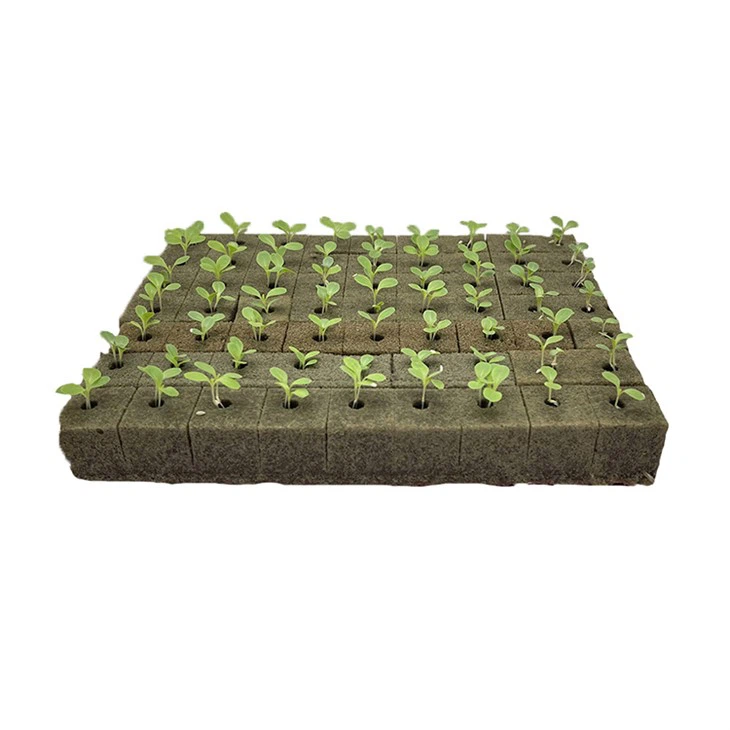 Plant Growing Media Grow Wall