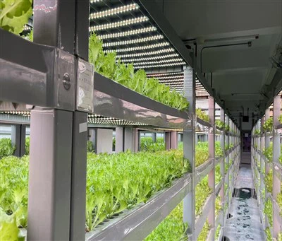 Cube For Garden Grows