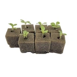 Grow Medium Cubes