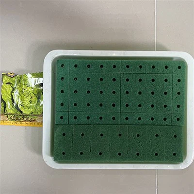 Hydroponic Rapid Rooter