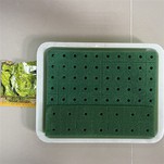 Hydroponic Rapid Rooter