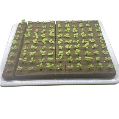 Hydroponic Square Cubes