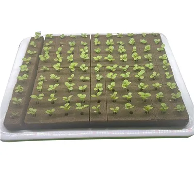 Hydroponic Starter Sheets