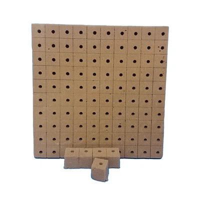 Hydroponics Seeds Herbs