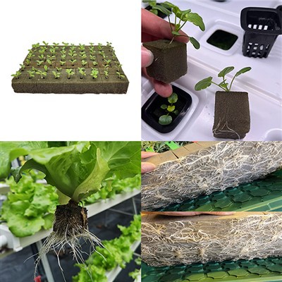 Non-Soil Hydroponic Growing Cubes