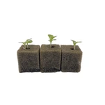 Plant Growing Cubes Modern Farming