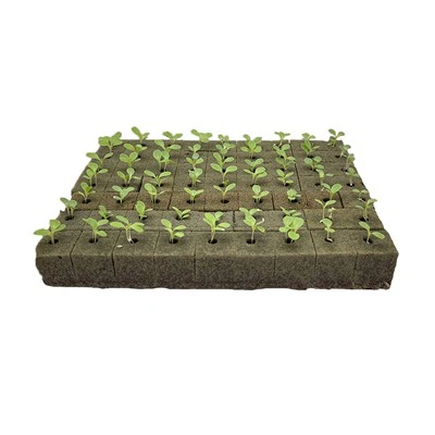 Planting Cube Garden