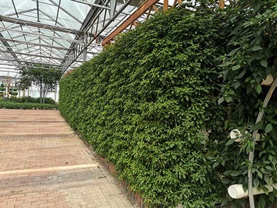 Planting Cubes Garden Growing System