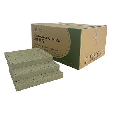 Seed Starting Hollyhocks