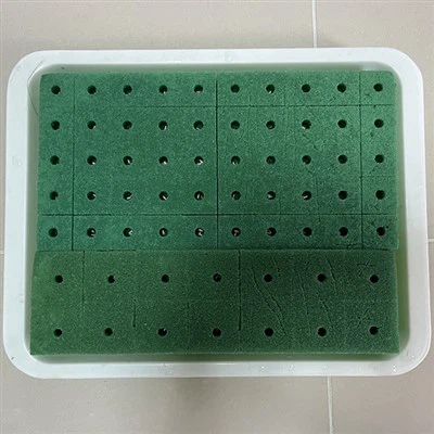 Seedling Propagation Cube