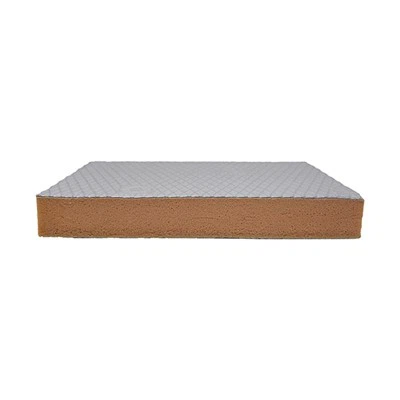 Thermal Insulation Board 25mm