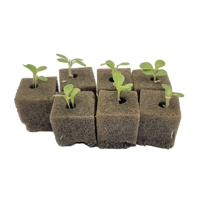Plant Growth Hydroponics Soil